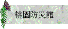 騾a]