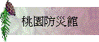 騾a]